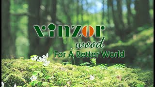 Disposable Wooden Tableware Manufacturer Vinzor Wood