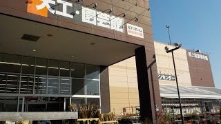 ﾋﾞﾊﾞﾎｰﾑ 綾瀬店