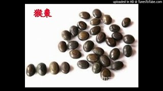 234 Channel《醫師easy》全一節 1. 醫師的衣著？ 2. 兒科聖藥: 保嬰丹,猴棗散,開奶茶,七星茶 2016-6-08