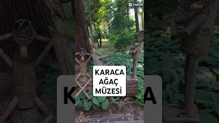 Karaca Arboretum Ağaç Müzesi #yalova