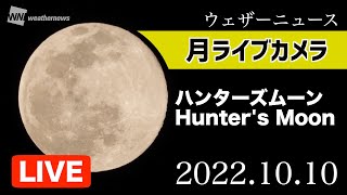 【LIVE】三連休・10月の満月（ハンターズムーン）／千葉県・幕張　2022年10月10日(月)夕方から／full moon LIVE