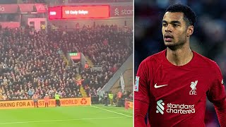 Gakpo Debut Standing Ovation at Anfield from Liverpool Fans