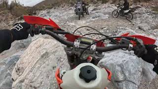 Exploring the petroglyphs on the Cottonwood Canyon Group Ride