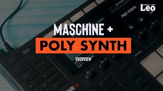 Maschine + | NEW! Poly Synth Overview