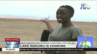 Lake Nakuru no longer a sight to behold; it is dirty, 'with no flamingoes'