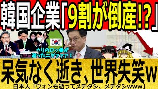 【海外の反応】韓国企業「9割が倒産！？」呆気なく逝き、世界失笑ｗ【ゆっくり解説】