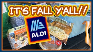 🔥HOT TIP!  I had to try, too!  Weekly ALDI Grocery Haul