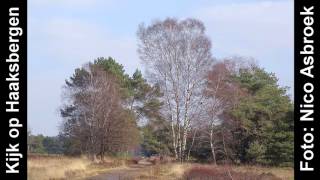 RTVSternet 20160312 Kijk op Haaksbergen