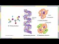 chapter two openstax concepts of biology