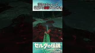 ゼルダをバグで遊び続けたRTA走者、青沼に遠隔から処される【ゼルダの伝説 ティアーズ オブ ザ キングダム】