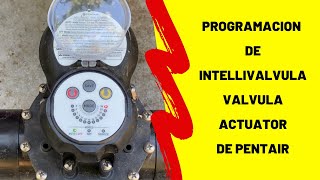 Programación de intellivalvula valvula actuator de Pentair