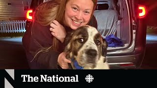 #TheMoment a family and their missing dog were reunited 2 years later