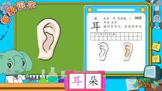 【智象识字】耳朵 Ears