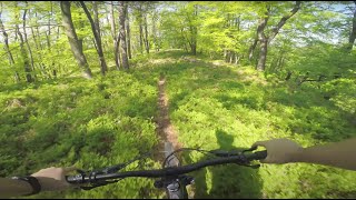 MTB Ljubljana | Javor trails // May 2021