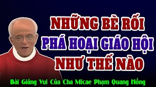 Những Bè Rối Phá Hoại Giáo Hội Như Thế Nào - Tổng hợp bài giảng thâm thúy của Cha Phạm Quang Hồng