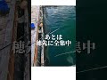 いくらちゃんに脈釣りレクチャー 海上釣堀 釣り 釣りガール fishing 釣堀