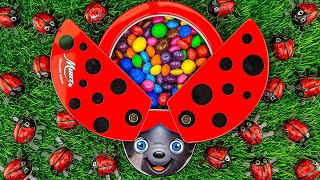 Satisfying ASMR | Mixing Rainbow Candy \u0026 Rainbow Slime and Unboxing  LadyBug Full of Skittles M\u0026M's