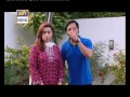 bulbulay ep 306 ary digital drama