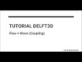 How To Running Delft3D Flow + Wave Finish Normally