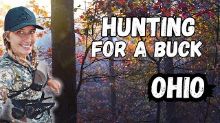 Hunting For A Mature Buck | Bowhunting Ohio 2024 ep 05