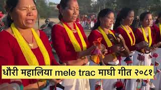 Male trac Dhauri mahaliya maghi song 2081 Shree Chaudhary Sangita Chaudhary