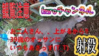 【くくり罠　シカ射殺】罠掛けて2日後　自宅の畑を荒らすシカ　kuroチャンネル　2022.11.07