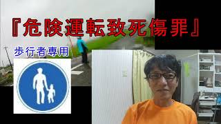 【見守り活動】学校近くの《歩行者専用》【交通安全】