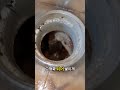 현대 트럭 트라고 엔진에서 물을 뿜어요 현대 트라고 트럭 엔진 냉각수 오바이트 hyundai truck trago engine coolant