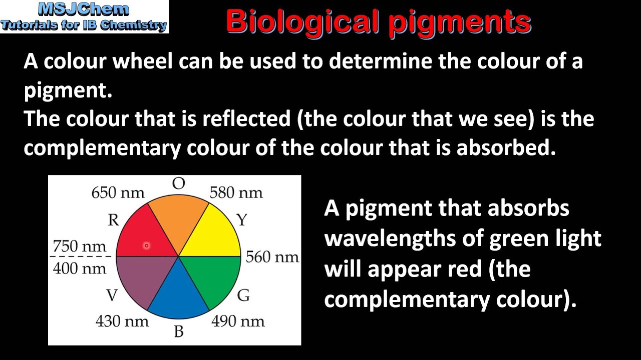 B.9 Biological Pigments (HL) - YouTube