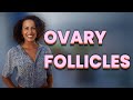 How many follicles in each ovary is normal?