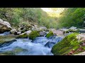 Enjoy the nature Relax and meditate with flowing river and find your interior peace