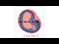 ప్రెగ్నెన్సీ 3వ. నెల పిండం ఎదుగుదల pregnancy 3 rd month symptoms in telugu fetus growth 3rd month