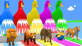 Paint & Animals Tiger, Lion, Bear, Minion, Hippo Fountain Crossing Transformation Animal Cartoon