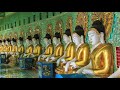 第5章「愚かな者」1 ダンマパダーブッダの言葉 chapter 5 what buddha told dhammapada the fool part 1