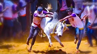 Puthiragoundampalayam Jallikattu 2020 Kadambur Ravi Kaalai | Jallikattu Kaalai...