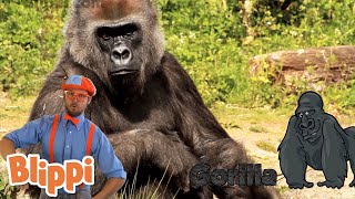 Zoo Animals | Blippi | Kids Learning Videos | Nursery Rhymes | ABCs And 123s