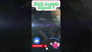 వేసవి ఎందుకు వస్తుంది#shorts #subscribe #summer