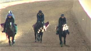 102　カムホームウィズミーの13　１４年１２月