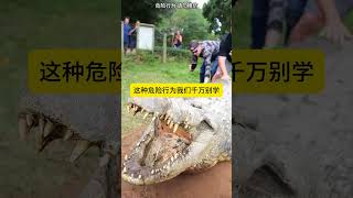 被鳄鱼咬了怎么办？先记住他的绝招#涨知识  #科普一下 #科普知识 #有趣冷知识 #故宫 #科普 #科普知识 #科普频道  #dou出新知 #科普知识 #科普 #涨知识