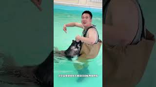 狗子差点没上来