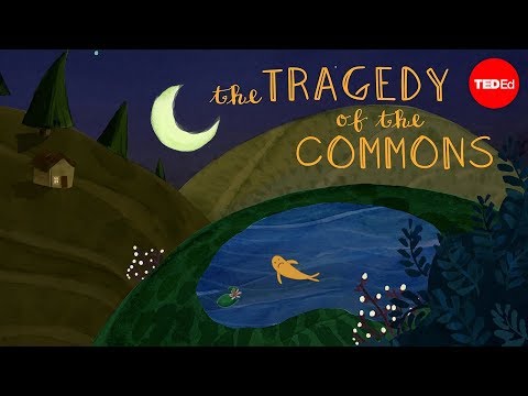What are the commons in the tragedy of the commons?