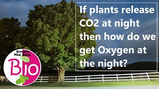 If plants release CO2 at night then how do we get Oxygen at the night? by Simply The Best BIO