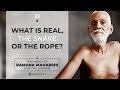 WHAT IS REAL, THE SNAKE OR THE ROPE?  Teachings of  Ramana For The Layman  - Spoken by Lomakayu