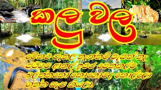 travel with natural pool kalu wala.ගාල්ලේ කලු වල සැපක් ගන්න පට්ට තැනක්