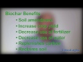 biochar soil restoration