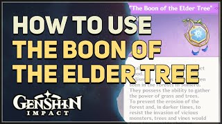 How to use The Boon of the Elder Tree Genshin Impact