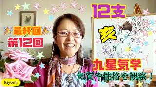 亥年さん！十二支と九星気学！第12回最終回【亥】さんについて、徹底解説！　自分の癖や性格を観察する一つ！十二支の特徴を理解して、自分を観察し、理解する一つの指針にいかがでしょうか？