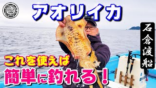 アオリイカが簡単に釣れる！【ウキ釣りアオリイカ】