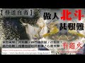 【修道自省】 做人北斗甚艱難——（１）預言未來：大包圍／時間線跳躍／改劇本？（２）修行診斷：拋書包認叻咩都識？心靈按摩？