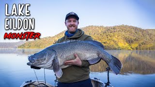 Metre Murray Cod On SURFACE - Does It Get Any BETTER!?